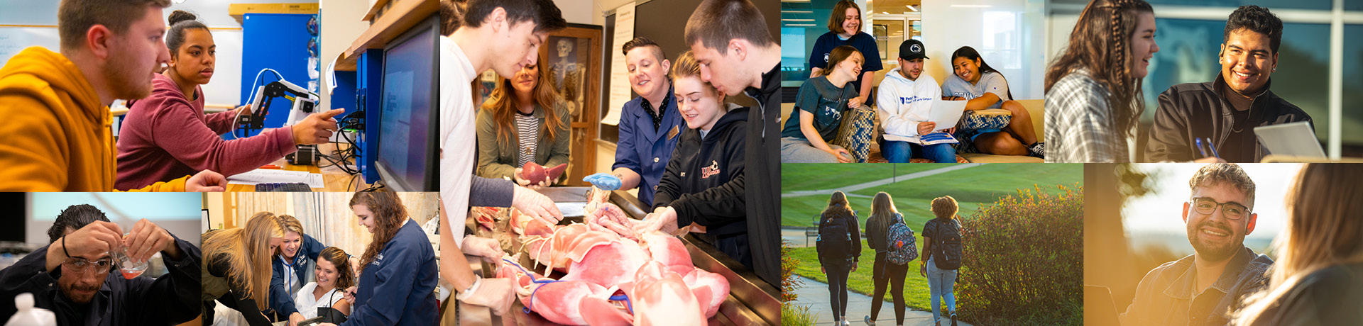 A photo collage of students around campus; many are reading, some are operating engineering equipment; others are nursing.